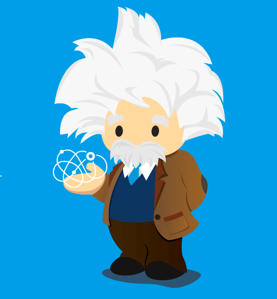 Einstein Vision and Language Model Builder