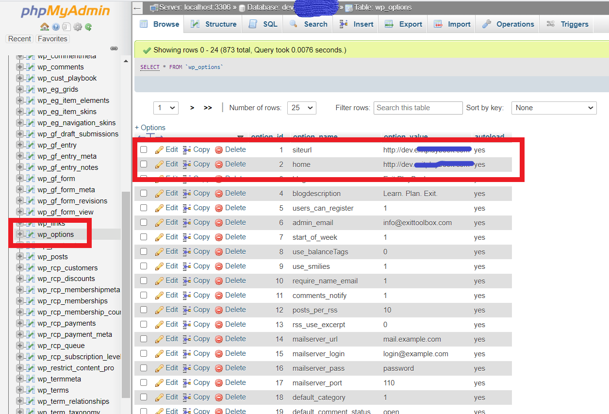 DB wp-options table in cPanel