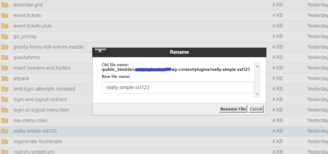 rename file of SSL and save in wp-content