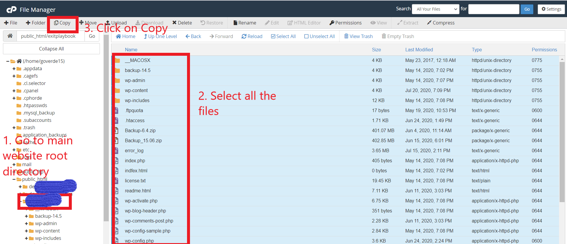 selecting and copying all the files of website root directory