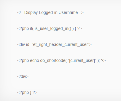 Display logged in username