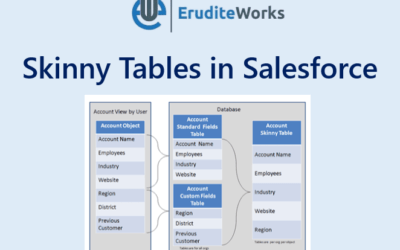 Skinny Tables in Salesforce
