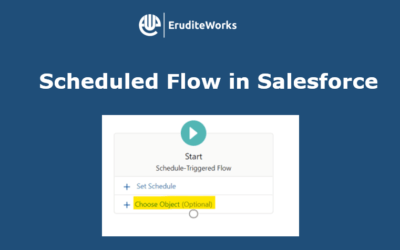 Scheduled Flow in Salesforce