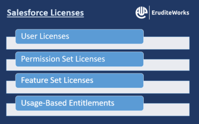 Salesforce Licenses