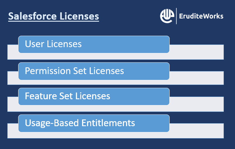 Salesforce Licenses