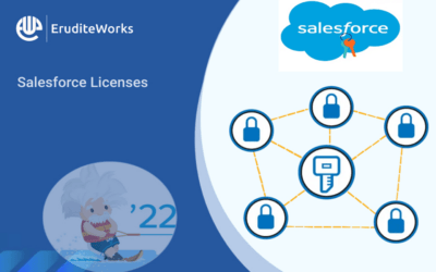 Salesforce Licenses