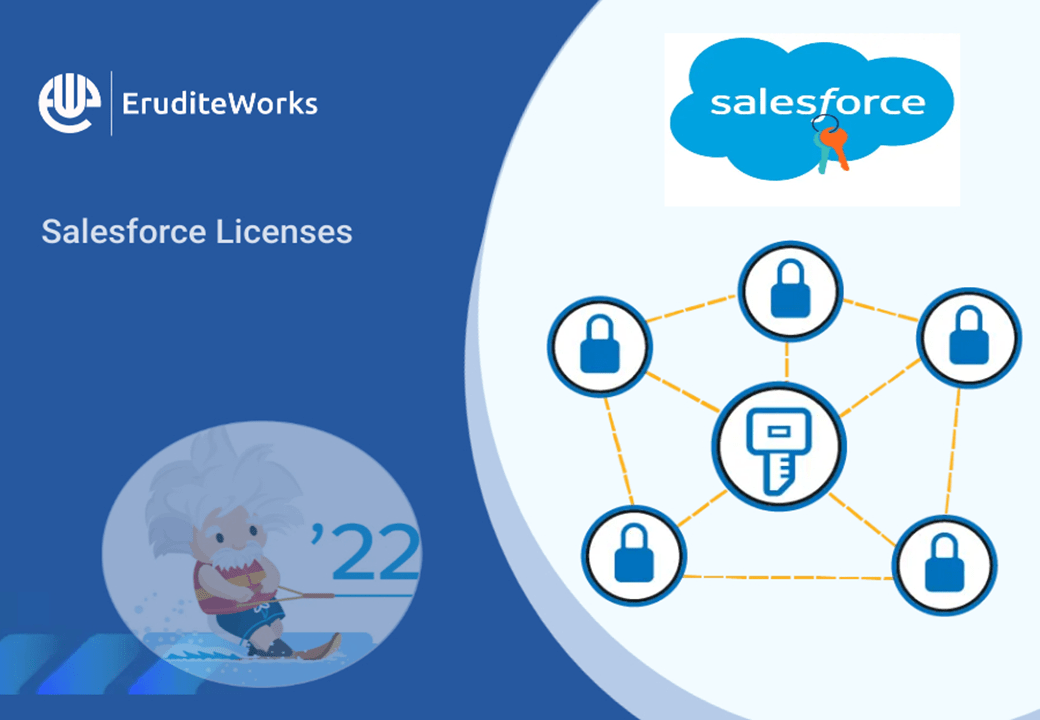 Salesforce Licenses