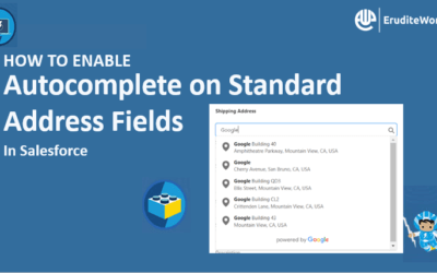 Enable Autocomplete on Standard Address Fields in Salesforce