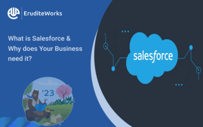 What is Salesforce and Why does Your Business need it?