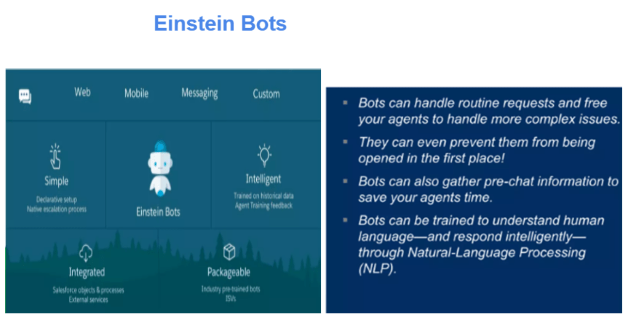 Einstein Bots