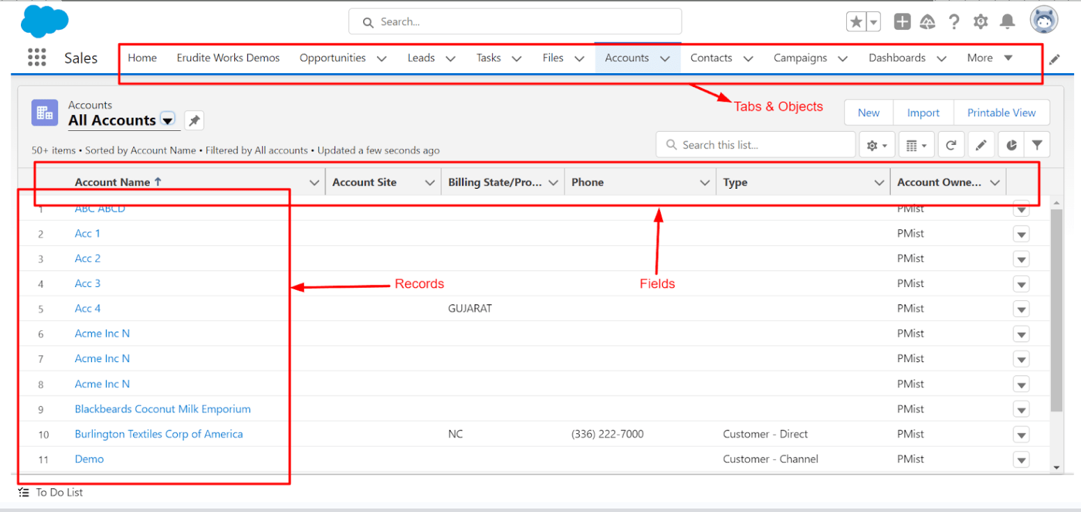 objects, field sand record in Salesforce