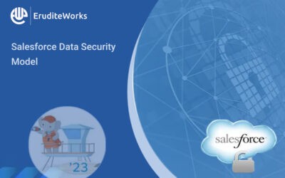 Salesforce Data Security Model