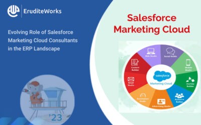 Evolving Role of Salesforce Marketing Cloud Consultants in the ERP Landscape