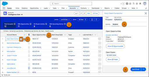 Account Intelligence View